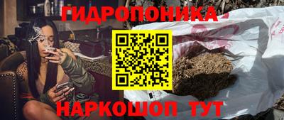 Альфа ПВП Будённовск