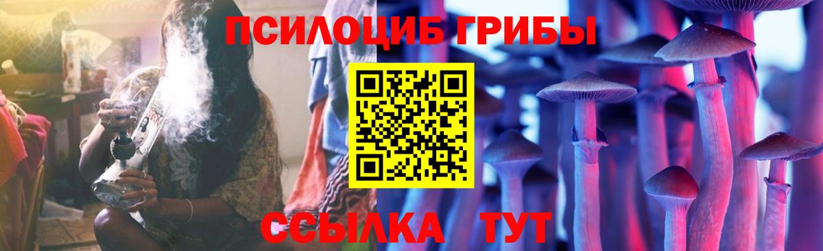 Галлюциногенные грибы GOLDEN TEACHER  Вход с VPN  Петропавловск-Камчатский  Псилоцибиновые грибы Magic Shrooms 